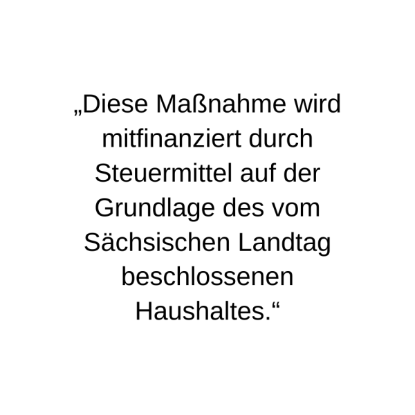 Text Haushalt Sächsischer Landtag 