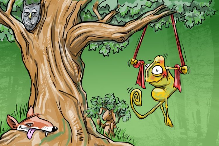 Headerbild mit Waldmotiv